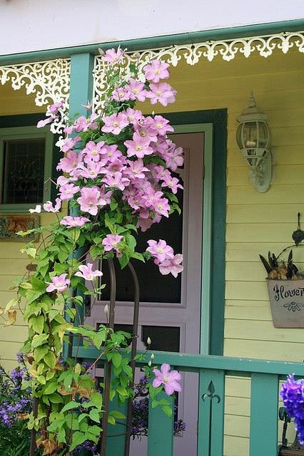 Beautiful Ideas with Clematis in the Garden 5