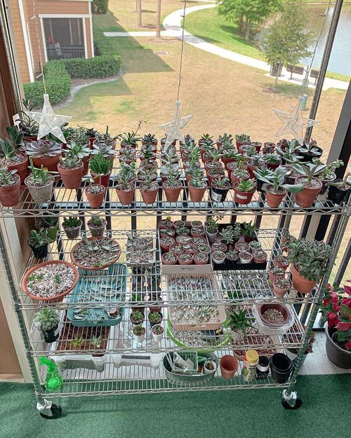 DIY Balcony Succulent Garden Ideas 10