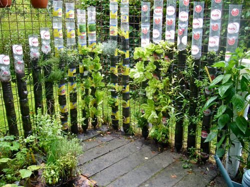 DIY Edible Garden Ideas from Plastic Bottles 9