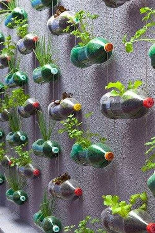 DIY Edible Garden Ideas from Plastic Bottles 8