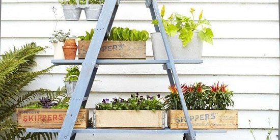 DIY Ladder Planter