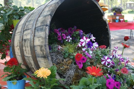 If you own a few empty wine barrels, reuse them in your garden the most creative way by following these DIY Wine Barrel Ideas!
